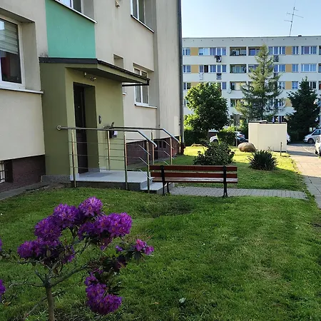 U Kocurka - Przy Termach Cieplickich Apartment Jelenia Gora Exterior photo